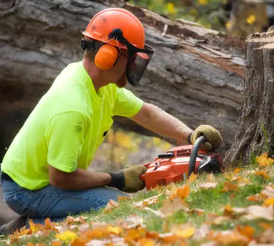 tree services Brecon